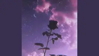 Shadow Bloom