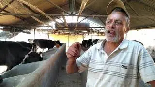 Mastitis Awareness Campaign