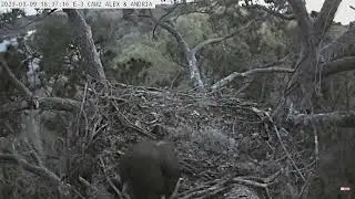 Nugget jumps below cam view!