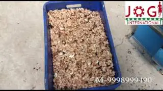 Automatic cashew cutting and cashew scooping line by jogi international