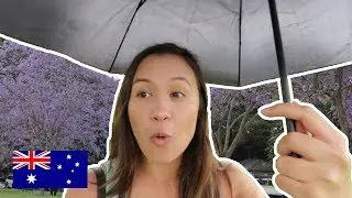 PRIMAVERA: ¿Cómo es el clima en AUSTRALIA?  | Brisbane