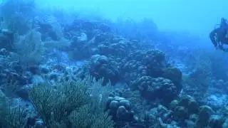 [Vimeo-24743422] UNDERWATER_ The AP Royal Oak Offshore Diver.mp4