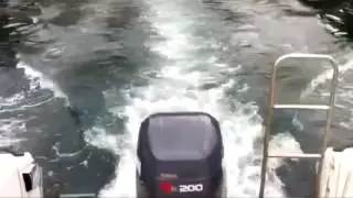 Yamaha FR-25 www.jpboats.ru