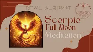 Full Moon Guided Meditation | Phoenix Ritual for Release, Rebirth & Power