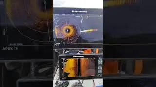 Humminbird Mega live (v1.170)