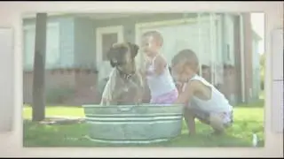 DOG GROOMING KIDS