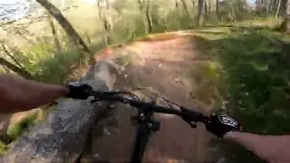 Coler Bike Park: Oscar Loop Downhill