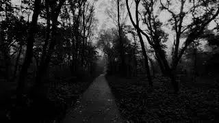 Akira Yamaoka - Traversing Worlds ( 1 hour of horror ambient mix)