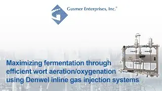 Denwel Webinar: Maximizing Fermentation through efficient wort Aeration/Oxygenation