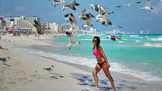 Soothing OCEAN WAVES & SEAGULLS Sounds: sea gull sounds, relaxing ocean sounds