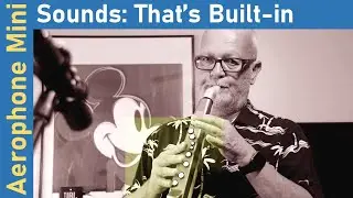 Exclusive Mini Series: The Roland Aerophone AE-01 Mini Sounds - Part 2