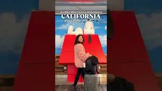 the cutest airport in North America! ✈️