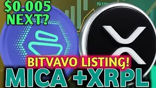 Is Zebec Network ZBCN About to EXPLODE? Bitvavo Listing, XRPL Integration & $0.005 Target Analysis