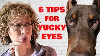 Doberman Eye SOS: облегчение зуда и покраснения, вызванных пыльцой и конъюнктивитом