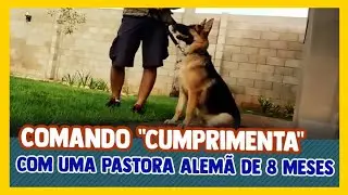 Comando 