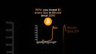 POV you invest $1 in Bitcoin every month since 2010