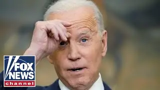 Biden finally acknowledges Hunter's daughter with ex-stripper
