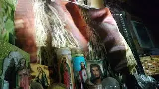 Телец ♉ Эти люди &mdash; настоящие звери в душе ⚠️🔮