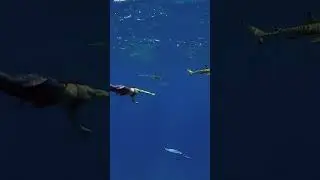 Mermaid swimming with sharks #merpeople #mermaidkat #professionalmermaid #meerjungfrau