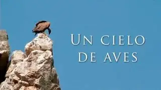 Extremadura: Un cielo de aves