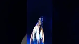water light refraction