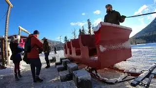 A day in the life of a Sleigh Driver at Banff Trail Riders