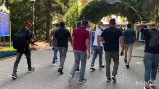 Europa-Park team974 #974 #Leport, #Stdenis #LaReunion