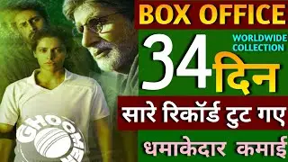 Ghoomar Box Office Collection, Ghoomar 34th Day Collection, Ghoomar Review,Ghoomer Day 33 Collection