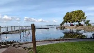 Palm Island Park in Mt. Dora, FL: Beautiful place to walk and watch the Sunsets! 🌄🌴🦅🐦