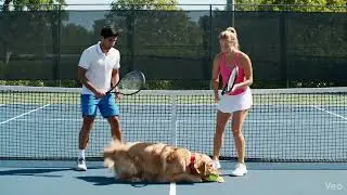 Dog Ruins Tennis Game...