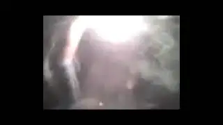 Mexican Midget Maraud (Ultra High Quality)