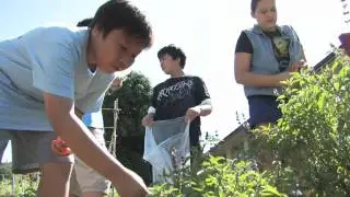Sustainability: The Garden