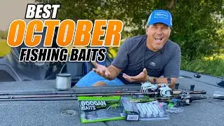 BEST Fishing Baits for OCTOBER