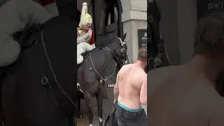 Мужчина попытался напасть на лошадь королевского гвардейца.