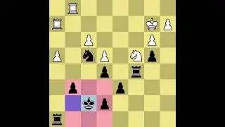 9 moves before Anastasia mate pattern in chess match between Arnold S Denker vs C Varella (1995)