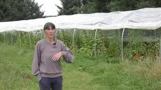 Berwick Wood Produce market garden in Aberdeenshire, Scotland