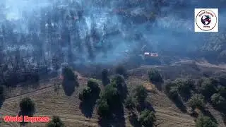Firefighters battled multiple wildfires across Turkey