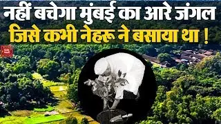 Mumbai's Aarey Forest Protest: All You Need To Know || Save Aarey Forest