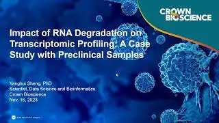 RNA Degradation and Its Influence on Transcriptomic Profiling: A Case Study with Preclinical Samples