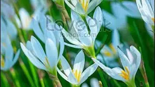 Md Zakir Hossain. is live! মনের কথা রাতের সাথে।।