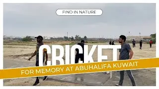 Cricket Playground AbuHalifa | Thakib Vlogs | Kuwait Series | Memories
