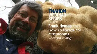How To Forage Wild Mushrooms Without Dying
