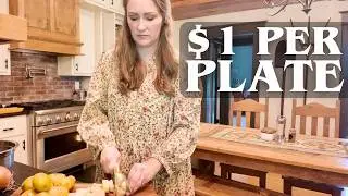 $1 Per Plate Meals for a Family of 7 at Aldi | Complete Haul