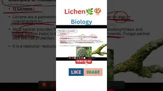 Lichen | biology
