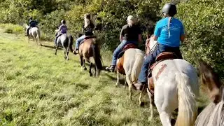 How To Make A Good Trail Horse