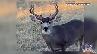 Snaps on Sunrise 1.30.2026