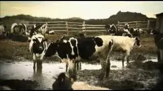 Всласть имущие. Экс-министр Скрынник