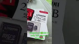 Kingston Memory Card 256GB for only 349 pesos in Shoppee