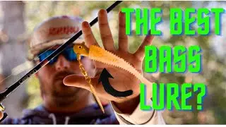 This Bass Lure WILL WIN Tournaments and MONEY❗️