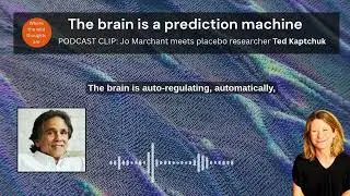 The brain is a prediction machine